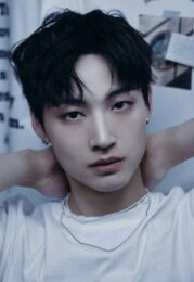Im Jae-beom