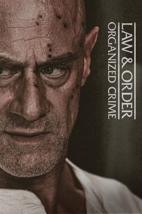 Law & Order Organized Crime : 2.Sezon 9.Bölüm