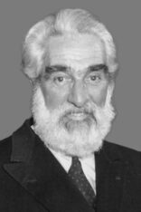Noel Purcell