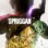 SPRIGGAN : 1.Sezon 4.Bölüm izle