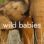 Wild Babies : 1.Sezon 4.Bölüm izle