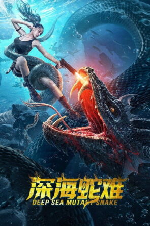 الخلاط+ izle (2022)