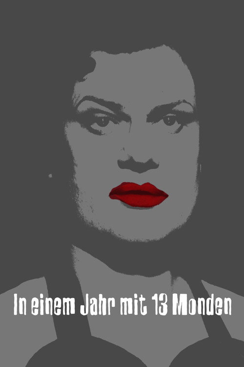 13 Ayla Bir Yılda izle (1978)