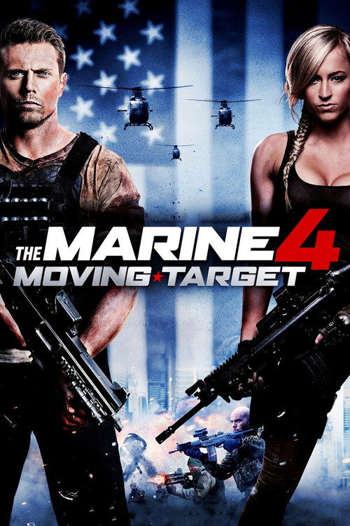 Denizci 4: Beklenmedik Hedef izle (2015)