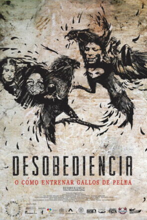 Desobediencia o cómo entrenar gallos de pelea izle (2017)