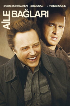 Dönüm Noktası izle (2004)