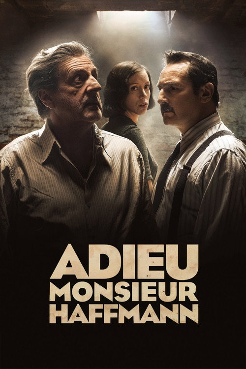 Elveda Bay Haffmann izle (2022)