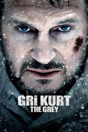Gri Kurt izle (2012)