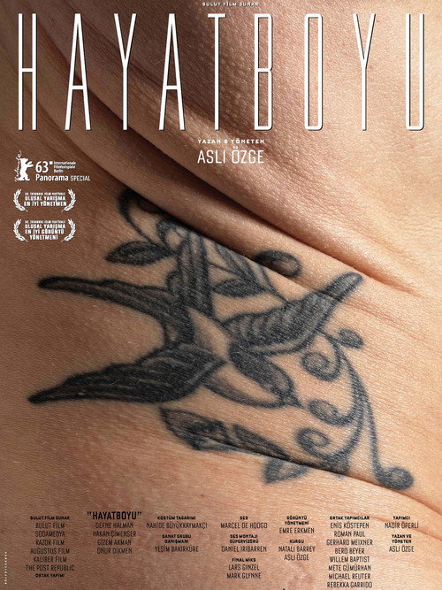 Hayatboyu izle (2013)