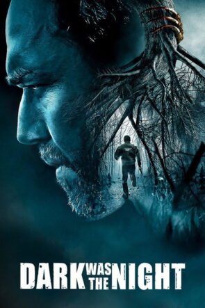 Karanlik Gece izle (2014)