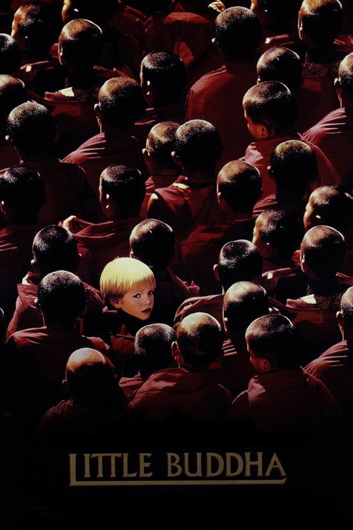 Küçük Buddha izle (1993)