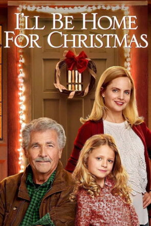 Noel’de Evdeyiz izle (2016)
