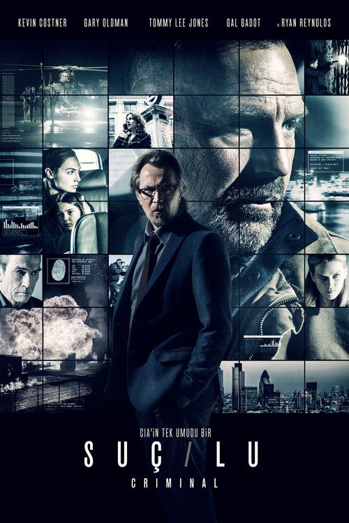 Suçlu izle (2016)